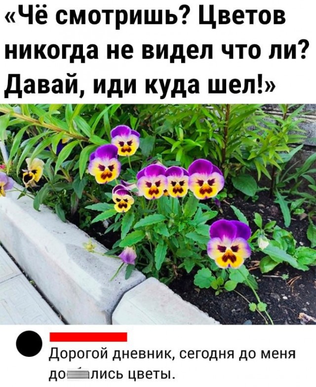 Так себе картинки 14.05.23