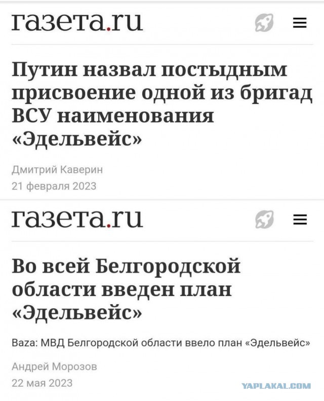 Опять Эдельвейс
