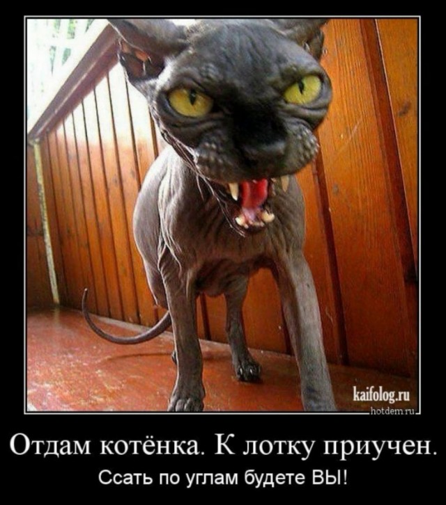 Пример удивительного спасения