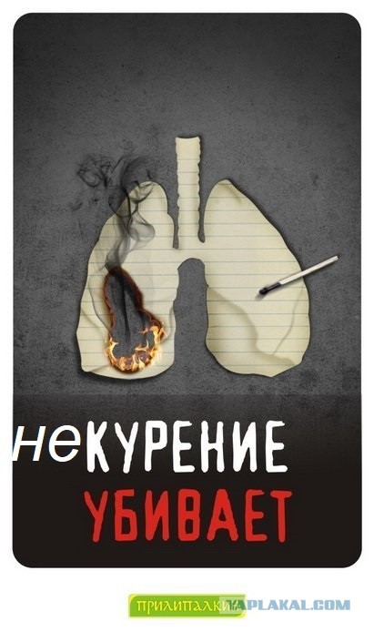 НЕ курение убивает?! 10 сутки без сигарет