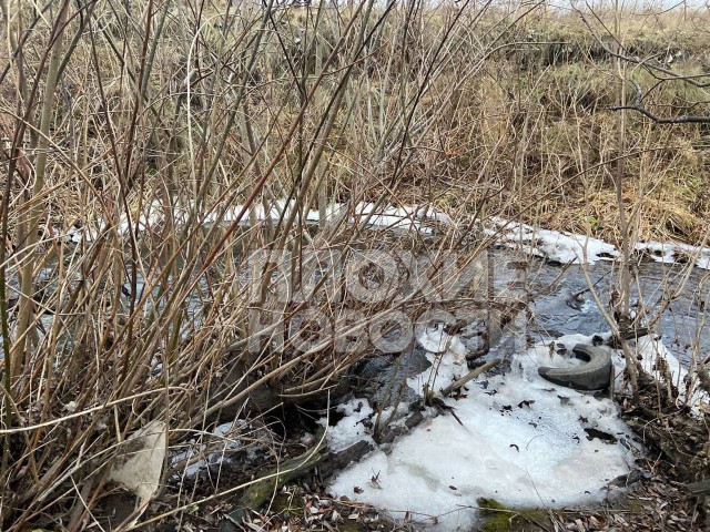 В Ачинске пятиклассник зарубил топором школьника, потому что тот оскорблял его мать.