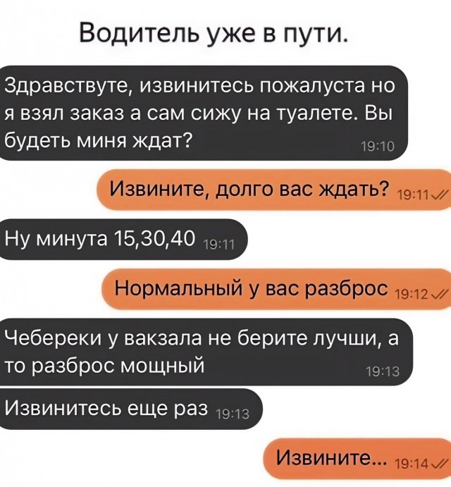 Лётчик АС