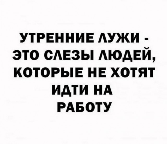 Нуштош 15.05.2024