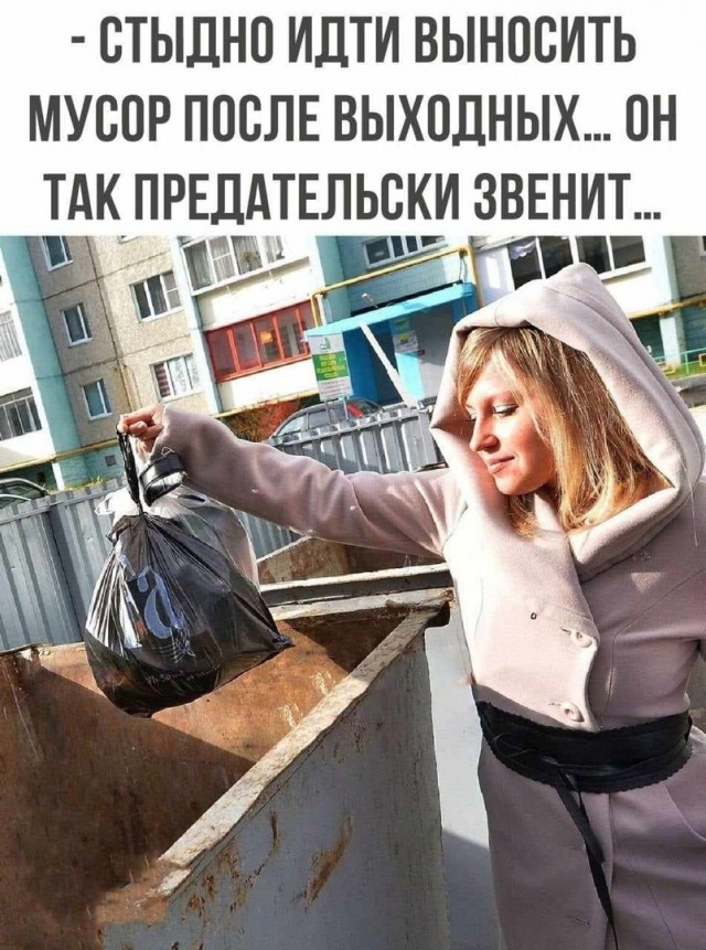 19162508.jpg
