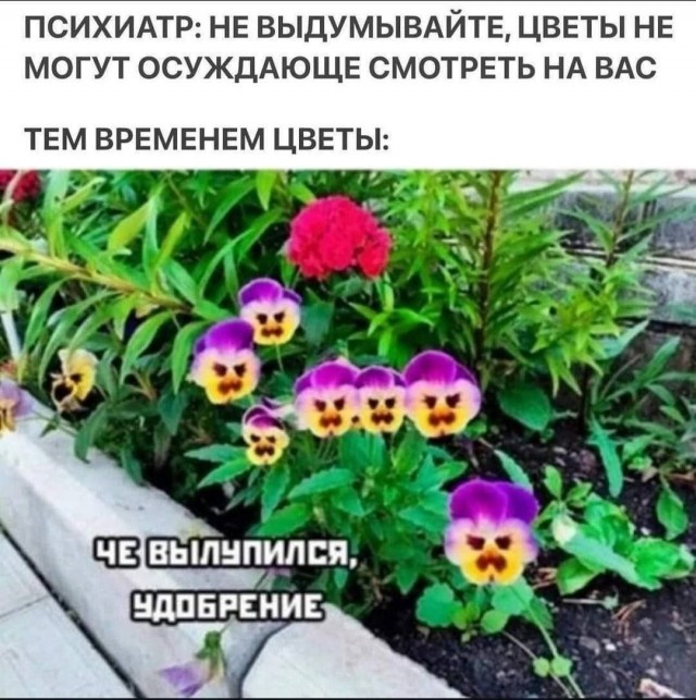 Завалялось тут случайно немного забавных картинок