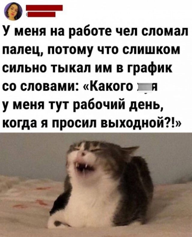 Сборник бабаянов или неожиданная помойка