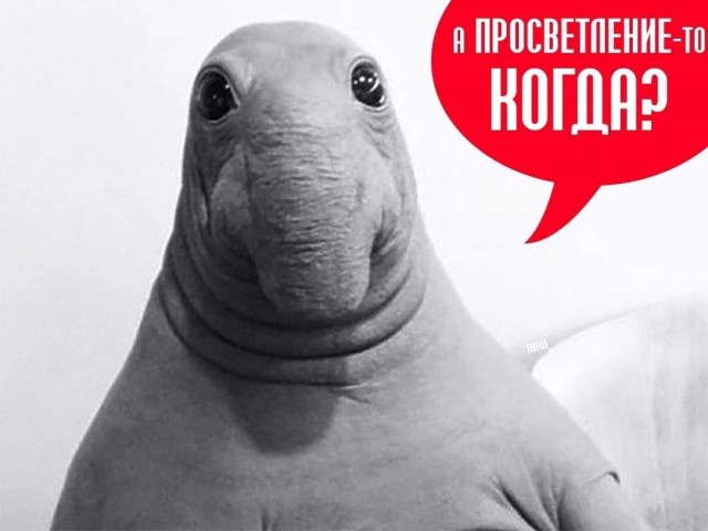 Так себе картинки 01.09.24