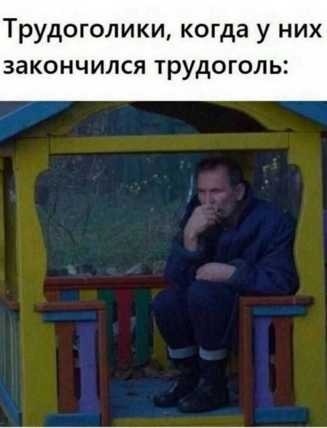 Немного забавных картинок от 13.10.2024