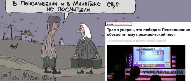 Выборы в США 2024