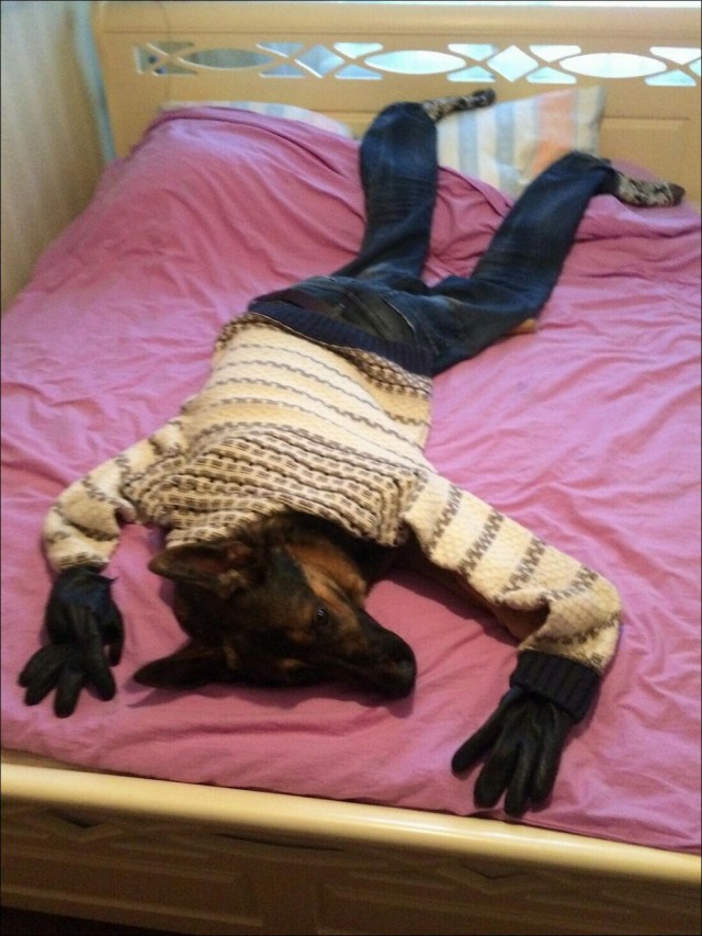 Крепость сдается?