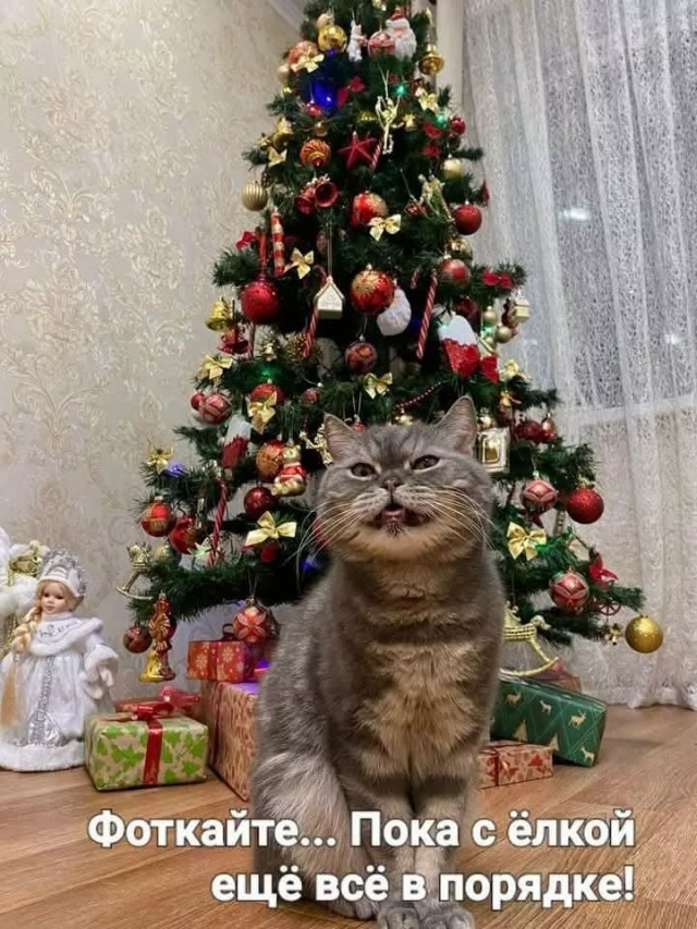 Завалялось тут случайно немного забавных картинок