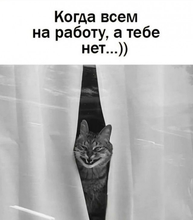 А когда будет восстание машин?