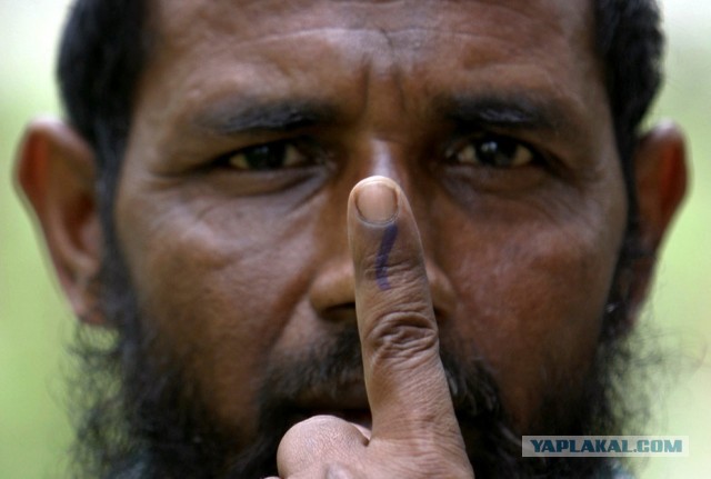 догадка о мусульманах с пальцем