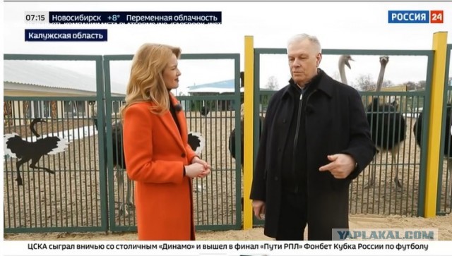 Россельхознадзор планирует в 2025 году победить борщевик новой разработкой