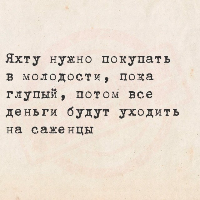 Весёлый полтишок 22.07.25