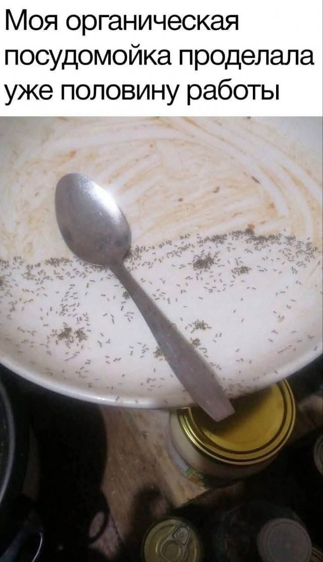 Ручей тупости