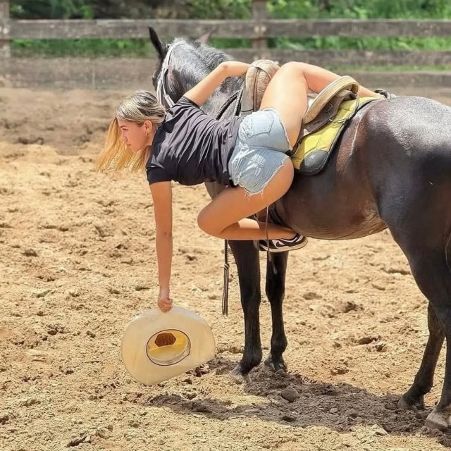 Ремонт коня