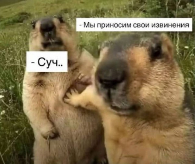 Так себе картинки 06.10.25
