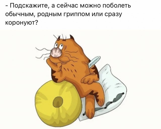 Так себе картинки 22.10.25