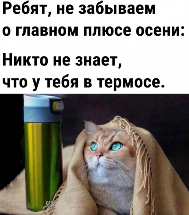 Пятничные картинки