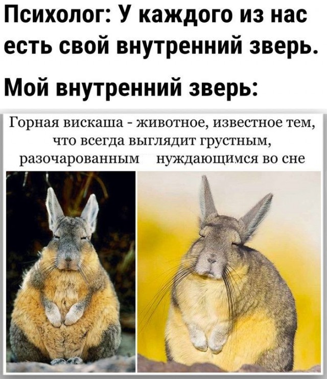 Дегрономикон 6