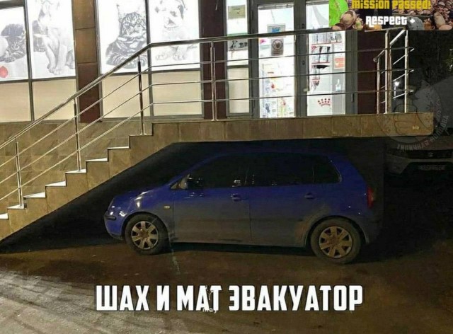 Картинки для деградации 129 (разной степени свежести)