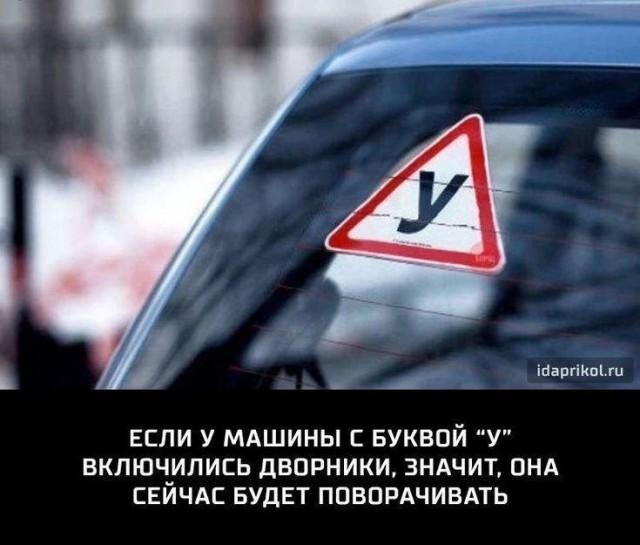 Картинки для деградации 138 (разной степени свежести)