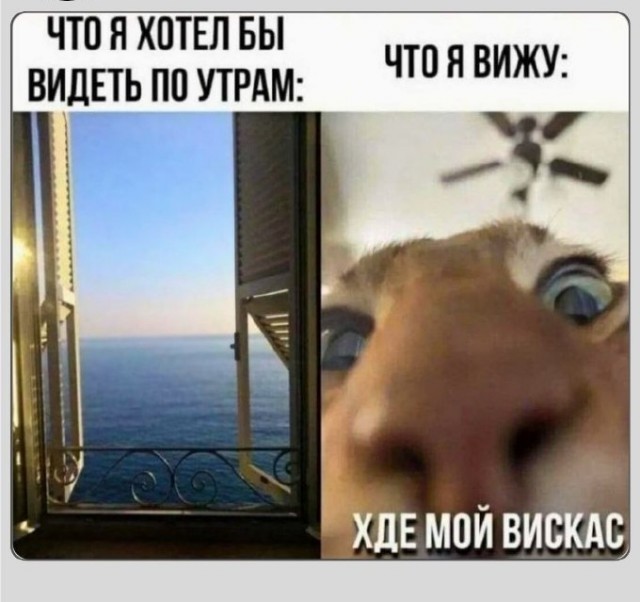 Воскресные картинки
