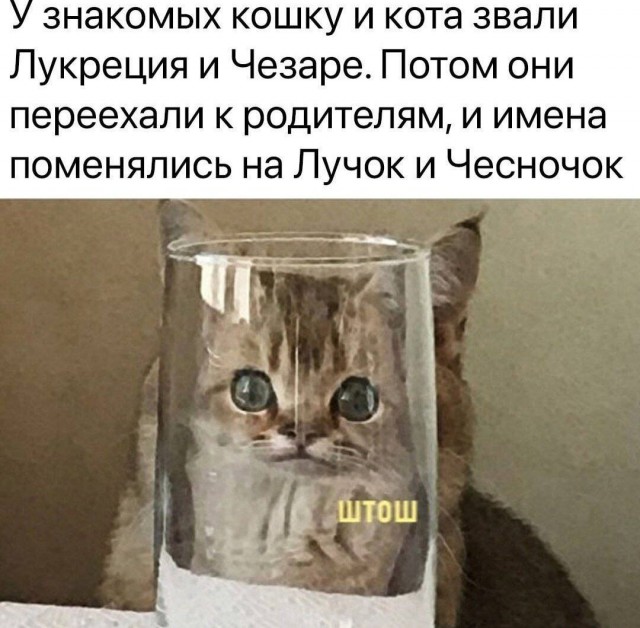 Родила царица в ночь....