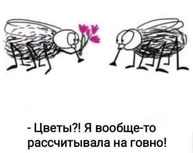 Картинки для деградации 154 (разной степени свежести)