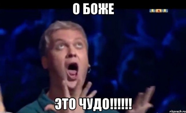 Кошка «Снежинка» — символ памяти и верности