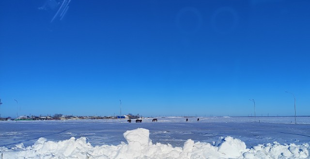 Фото сделанные по дорогам России
