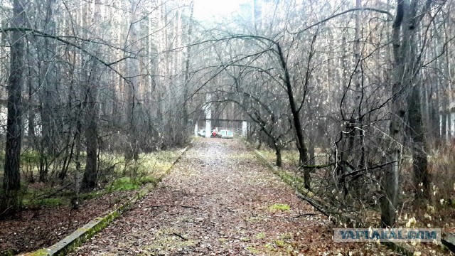 Прогулка по заброшенному лагерю