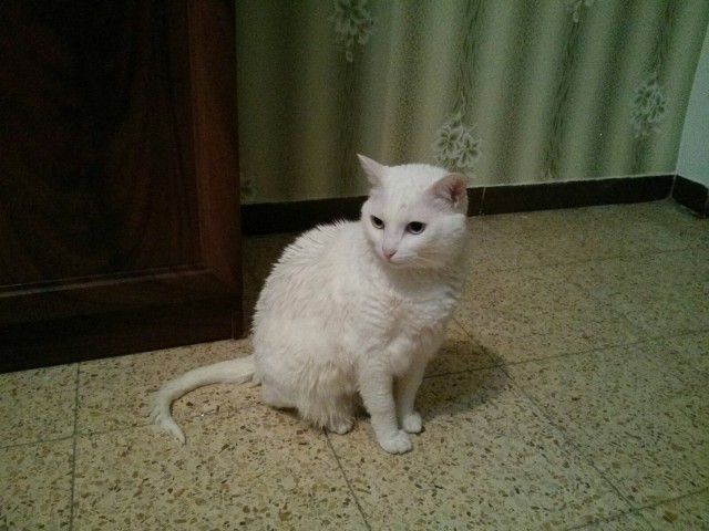 Валентинка
