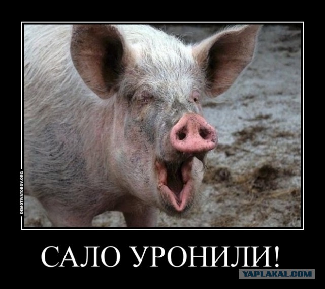 Бред Порошенко при нелегитимной инаугурации