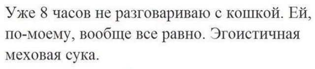 Смешные комментарии из социальных сетей 15.11.14