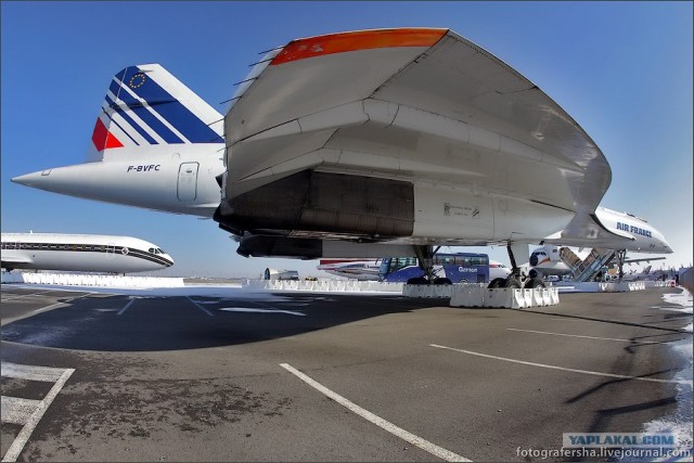 Конкорд
