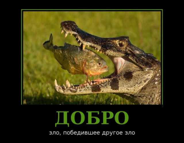 Быть человеком!