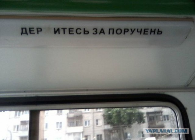 Приколы из сети