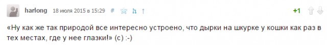 За что ненавидят Церковь?
