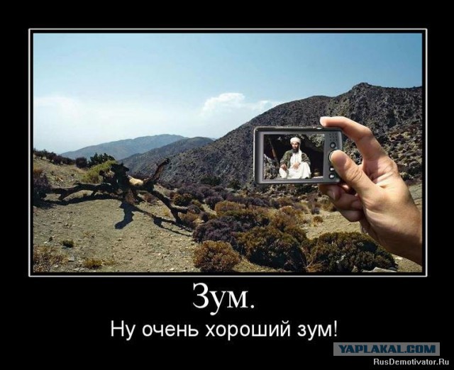 Цветочки нашей планеты