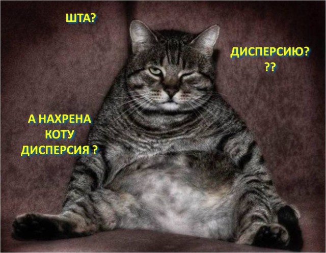 Как лечить депрессию у кота
