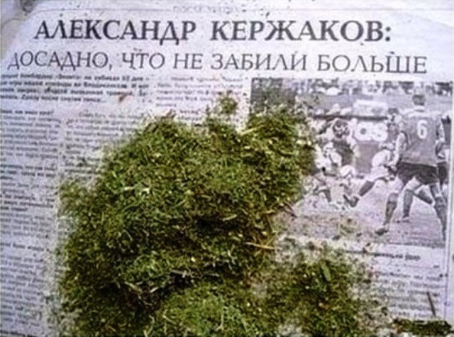 Злые шутки или минутка сарказма на ЯП-е, 16+
