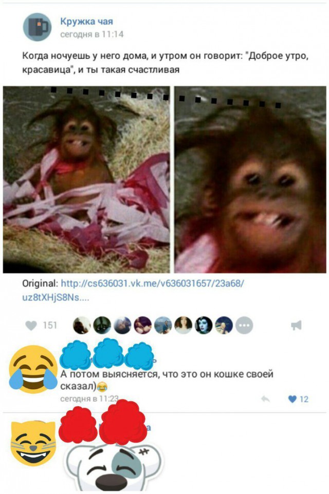 Ужасы и приколы из соцсетей 18+