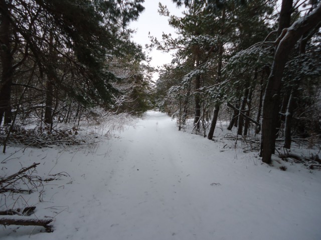 Зимний Крым