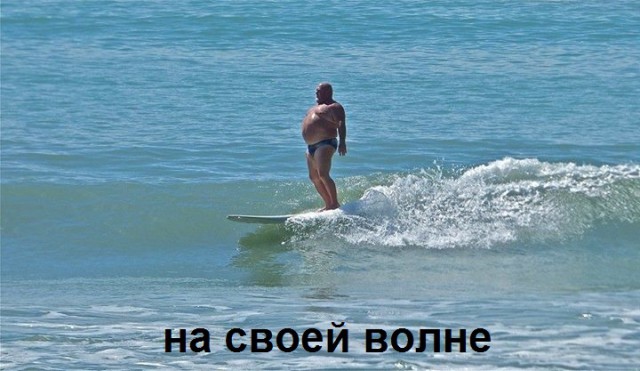 Порция картинок из сети