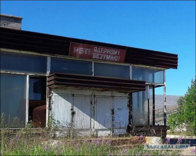 Юмор не для всех