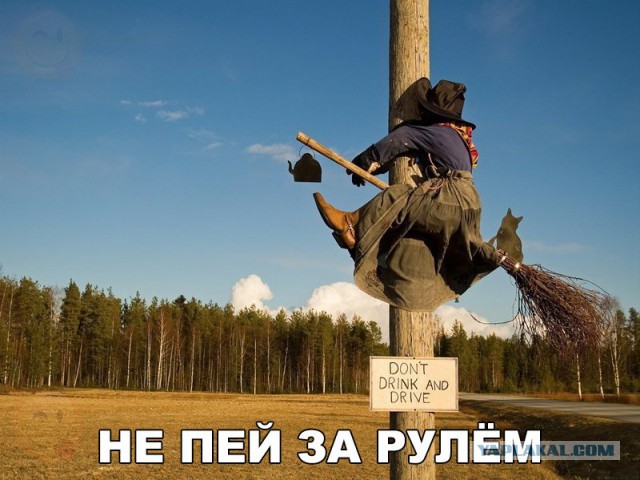 Смешные комментарии из социальных сетей 23.12.2016