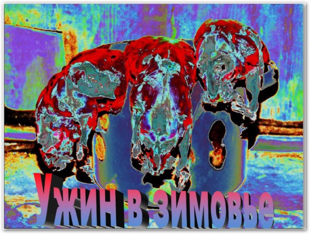 Ужин в зимовье.