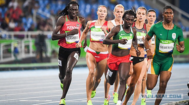 Большинство россиян поддержали выступление на Олимпиаде под нейтральным флагом